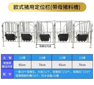 为什么怀孕母猪要住定位栏定位栏养猪有什么好处和坏处